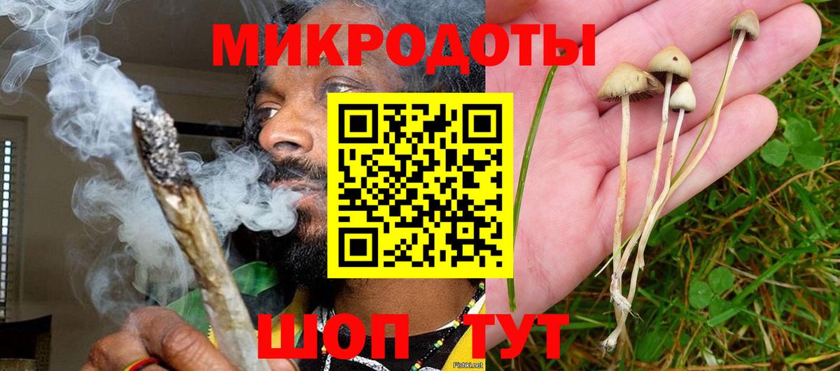 Таганрог  Псилоцибиновые грибы мицелий  Галлюциногенные грибы Psilocybe  Вход с VPN 