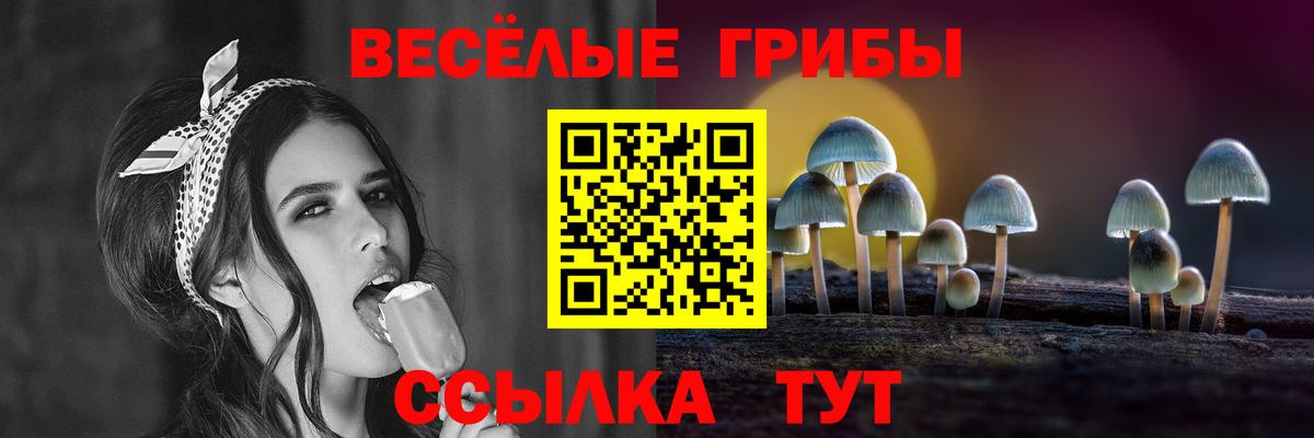 Псилоцибиновые грибы GOLDEN TEACHER Таганрог